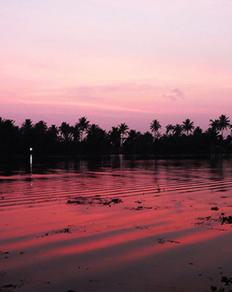 Dusk in the Backwaters Secret Pillow